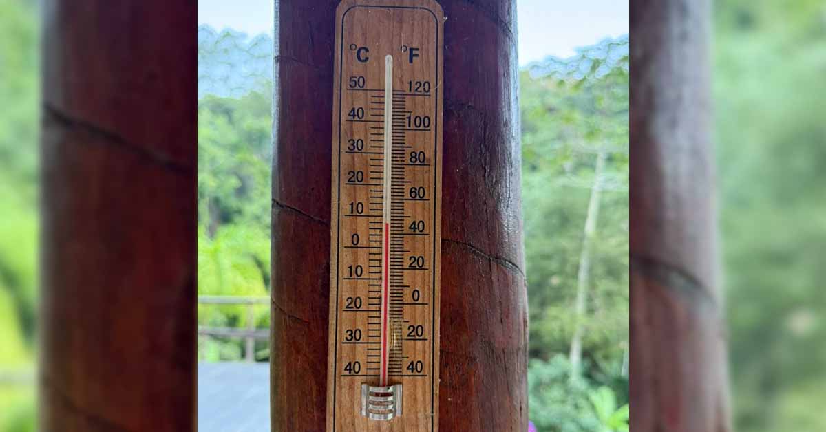 Frio Intenso Marca Início do Inverno em Alfredo Chaves; Redentor Registra 4°C nesta Sexta (19)
