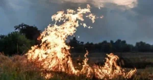 El Niño Deve se Intensificar no ES a partir de Agosto com Risco de Seca e Incêndios