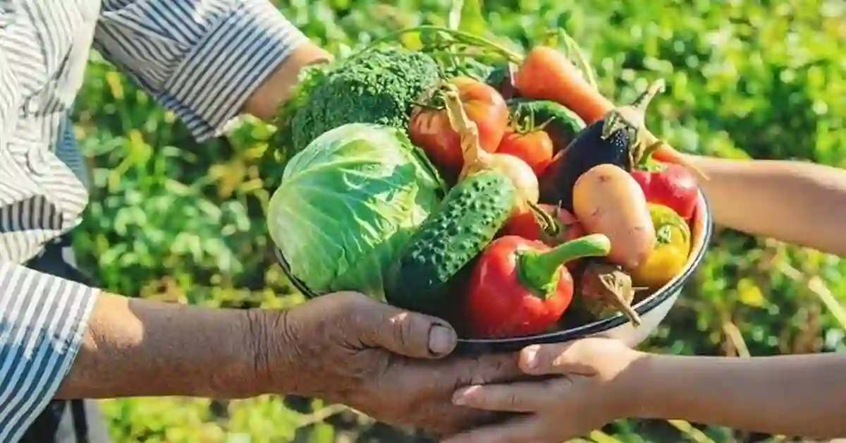 Alfredo Chaves Abre Seleção do Programa de Aquisição de Alimentos com Investimento de R$ 175 Mil
