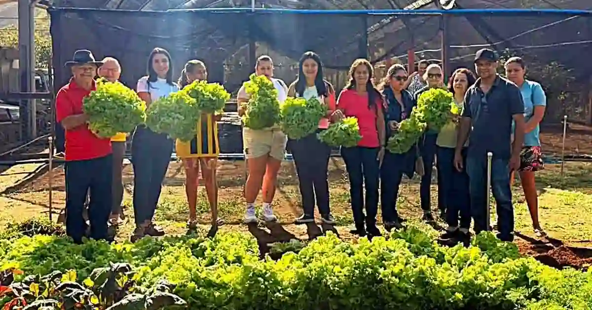 Hortoterapia utiliza cultivo de hortaliças no cuidado com a saúde mental em Alfredo Chaves