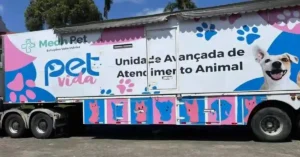 Alfredo Chaves terá castração e vacinação gratuita de cães e gatos